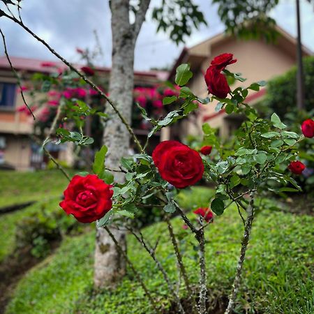 Legacy Boutique Hotel Quesada  Bagian luar foto